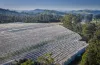 98 Mill Road, Batlow, NSW 2730-Image