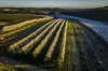 98 Mill Road, Batlow, NSW 2730-Image