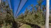 98 Mill Road, Batlow, NSW 2730-Image