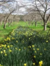 Address available on request, Carlotta, WA 6275-Image