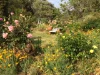 Address available on request, Carlotta, WA 6275-Image