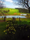Address available on request, Carlotta, WA 6275-Image