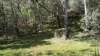 Lot 24 Ernies Way, Batlow, NSW 2730-Image