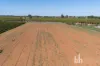 Lot 38 Loveday Road, Cobdogla, SA 5346-Image