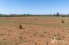 Lot 38 Loveday Road, Cobdogla, SA 5346-Image