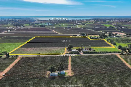 Lot 52 Hoffmann Road, Loveday SA 5345-Image