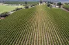 Lot 7 Pike Creek Road, Lyrup, SA 5343-Image