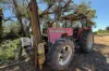 Lot 7 Pike Creek Road, Lyrup, SA 5343-Image