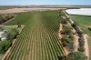 Lot 7 Pike Creek Road, Lyrup, SA 5343-Image