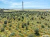 Lot 8 Tower Road, Lewiston, SA 5501-Image