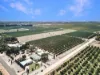 Lot 80 Foster Road, Sunlands SA 5322-Image