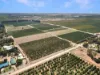 Lot 80 Foster Road, Sunlands SA 5322-Image