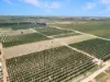 Lot 80 Foster Road, Sunlands SA 5322-Image