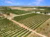 Lot 80 Foster Road, Sunlands SA 5322-Image