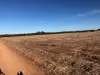 Midlands Road, Dongara, WA 6525