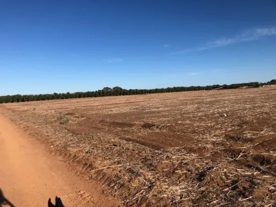 Midlands Road, Dongara, WA 6525