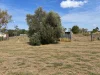 0 Killarney Street, Dulacca, Qld 4425-Image