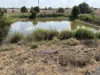 0 Killarney Street, Dulacca, Qld 4425-Image