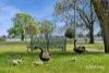 01A/18-22 Wendouree Parade, Lake Wendouree, Vic 3350-Image