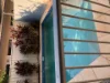 1/1 Dangoerra St, Lyons, NT 0810