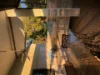 1/1 Dangoerra St, Lyons, NT 0810-Image
