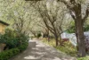 1/11 Camp Street, Daylesford, Vic 3460-Image