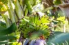 1-11 Kureelpa Falls Road, Kureelpa, Qld 4560-Image