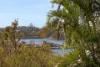 1/125 Darling Street, Balmain East, NSW 2041-Image