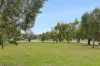 1/15 Sylvia Place, Nollamara, WA 6061-Image