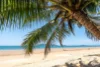 1 & 2/39 Reid Road, Wongaling Beach, Qld 4852-Image