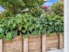 1/2 Morven Place, Maleny, Qld 4552-Image