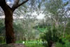 1/2 River Street, Briar Hill, Vic 3088-Image