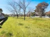1-3 Blakely Street, Leeton, NSW 2705-Image