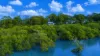 1-3 Blue Bay Crescent, Macleay Island, Qld 4184-Image