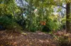 1-3 View Road, The Patch, Vic 3792-Image