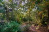 1-3 View Road, The Patch, Vic 3792-Image