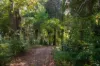1-3 View Road, The Patch, Vic 3792-Image
