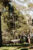 1-3 Williams Street, Dunkeld, Vic 3294-Image