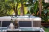 1/33 Quirk Road, Manly Vale, NSW 2093-Image