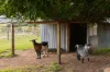 1-33 Telrader Road, Marburg, Qld 4346-Image