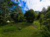 1/4  Wallaby Road, Nimbin, NSW 2480-Image