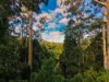 1/4  Wallaby Road, Nimbin, NSW 2480-Image