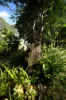 1/4  Wallaby Road, Nimbin, NSW 2480-Image