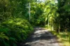 1/4  Wallaby Road, Nimbin, NSW 2480-Image