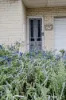 1/43 Pembroke Road, Ocean Grove, Vic 3226-Image