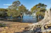 1-5 Wandoo Avenue, Macleay Island, Qld 4184-Image