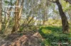 1-5 Wandoo Avenue, Macleay Island, Qld 4184-Image