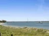 1/516 Marine Parade, Biggera Waters QLD 4216-Image