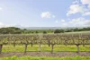 1/53 Main Road, McLaren Vale, SA 5171-Image