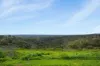 1/55 Warri Parri Drive, Flagstaff Hill, SA 5159-Image